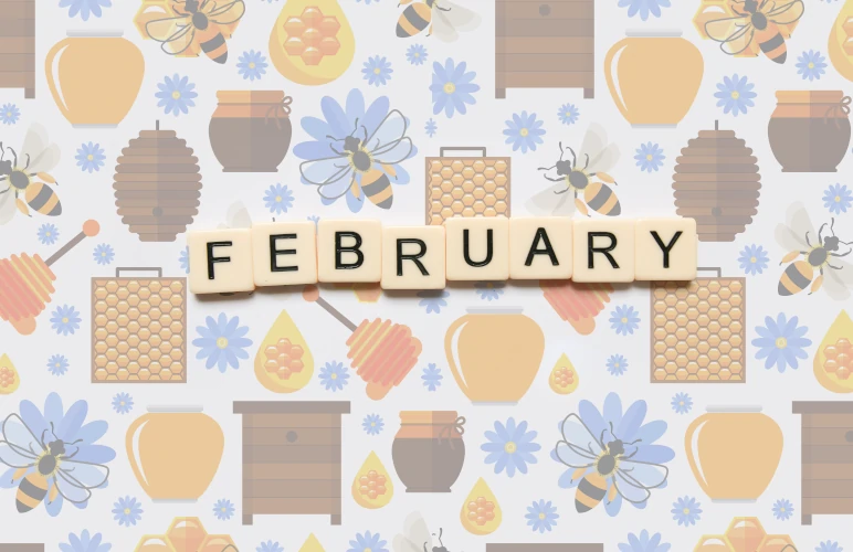 Beekeeping things to do in NZ in February